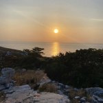 IMG_0128.jpeg