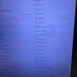 IMG_0974.jpeg