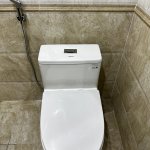 IMG_6232.jpeg