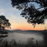 IMG_0286.jpeg