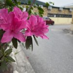 IMG_6947.jpeg