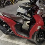 IMG_4159.jpeg