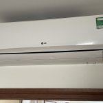 IMG_0747.jpeg