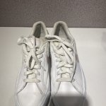 IMG_1046.jpeg