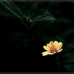 IMG_7824.jpeg