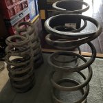 IMG_3465.jpeg