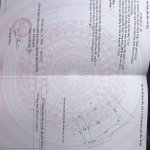 IMG_2033.jpeg