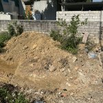 IMG_5737.jpeg
