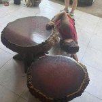 IMG_2237.jpeg