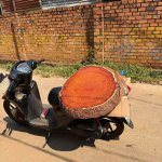 IMG_2541.jpeg