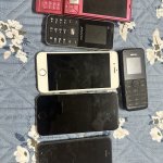 IMG_8258.jpeg
