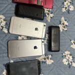 IMG_8259.jpeg