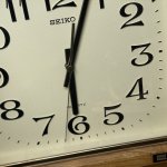 IMG_4295.jpeg