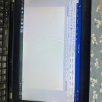 IMG_8309.jpeg