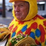 Trump_TACO_meme.jpg