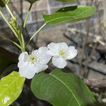 IMG_0364.jpeg