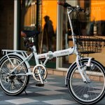 xe-dap-gap-nhat-MyPallas-M246-white.jpg