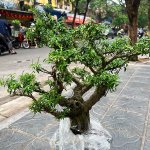 IMG_3972.jpeg