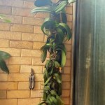 IMG_3978.jpeg