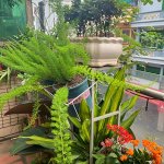 IMG_3976.jpeg