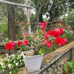 IMG_3996.jpeg
