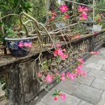 IMG_3997.jpeg
