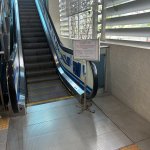 IMG_4651.jpeg
