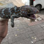 IMG_1859.jpeg