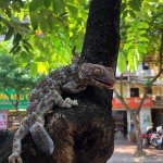 IMG_1873.jpeg