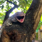 IMG_1872.jpeg