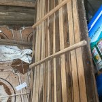 IMG_6475.jpeg