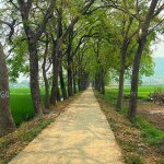 IMG_4016.jpeg