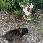 IMG_7449.jpeg