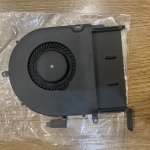 IMG_5081.jpeg
