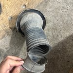 IMG_1593.jpeg