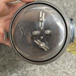 IMG_5679.jpeg