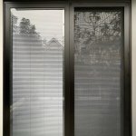 IMG_7933.jpeg