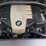 IMG_7011.jpeg