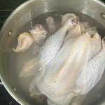 IMG_20260416_214926.jpg