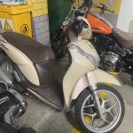 IMG_7141.jpeg
