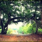 IMG_0632.jpeg