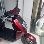 IMG_7845.jpeg
