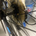IMG_4344.jpeg