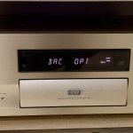IMG_1207.jpeg