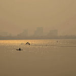 939c4c66-2e56-4ae5-a887-08212a32a64b-1_all_74416.gif