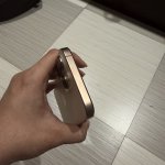 IMG_3167.jpeg