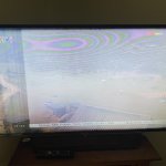 IMG_6511.jpeg