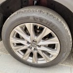 IMG_5111.jpeg