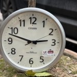 IMG_6623.jpeg