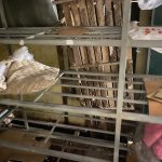 IMG_6517.jpeg